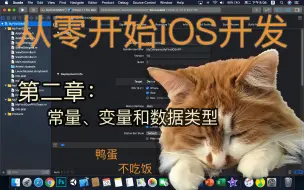 Download Video: 零基础iOS开发学习记录 第二章：常量、变量和数据类型