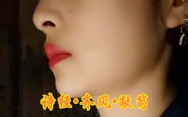 西安阿姨用610103号方言带你读《诗经•齐风•敝笱》哔哩哔哩bilibili