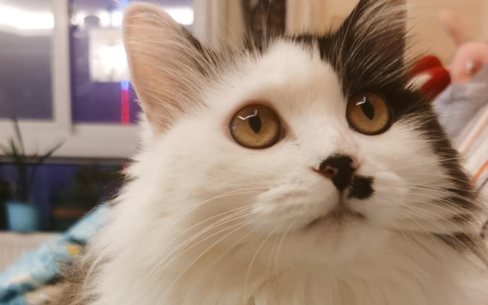 快开门啊!我要回家17°(°0454790455°)°17