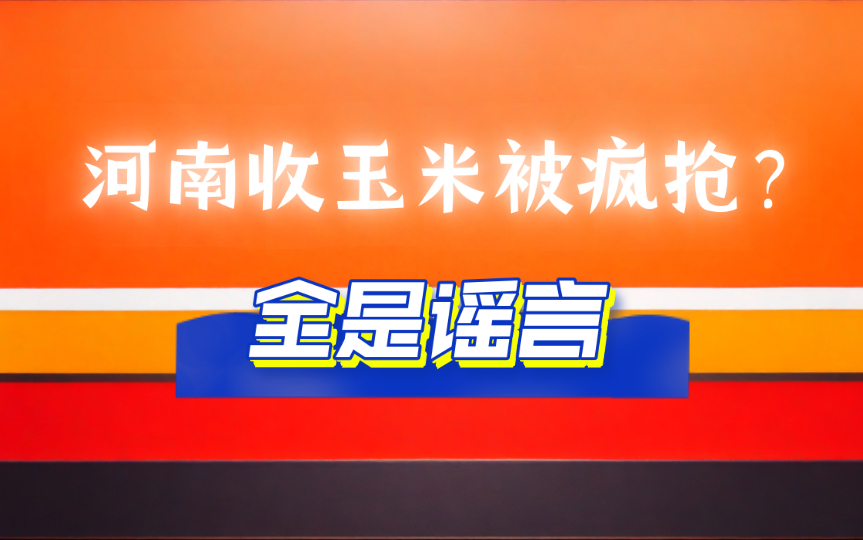 河南收玉米风波:谣言背后的真相是什么?哔哩哔哩bilibili