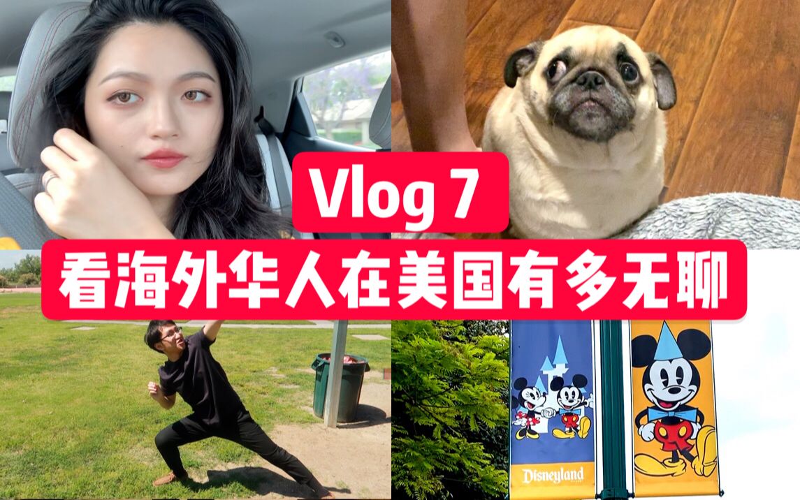 【Vlog 7】在海外生活夫妇的一周: 公司团建 | 第一次开枪 | 健身 | 拍视频 | 逛迪士尼“门口”哔哩哔哩bilibili