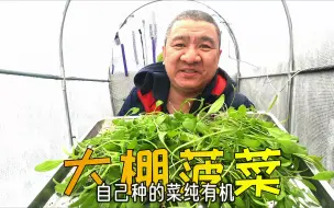 Télécharger la video: 北方小院电暖大棚里采收2斤菠菜啦！看着有机绿色蔬菜心情真舒畅