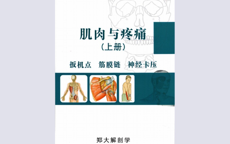 【好书推荐】《肌肉与疼痛》全三册郑大解剖学,滕康学院哔哩哔哩bilibili