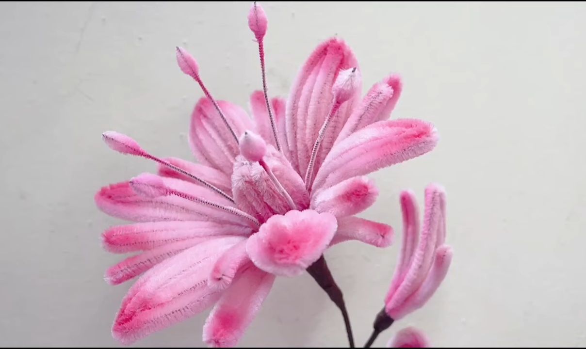 【DIY Simple Crafts】扭扭棒花制作教程Beautiful Pipe cleaner Flower Making Tutorial  DIY P哔哩哔哩bilibili