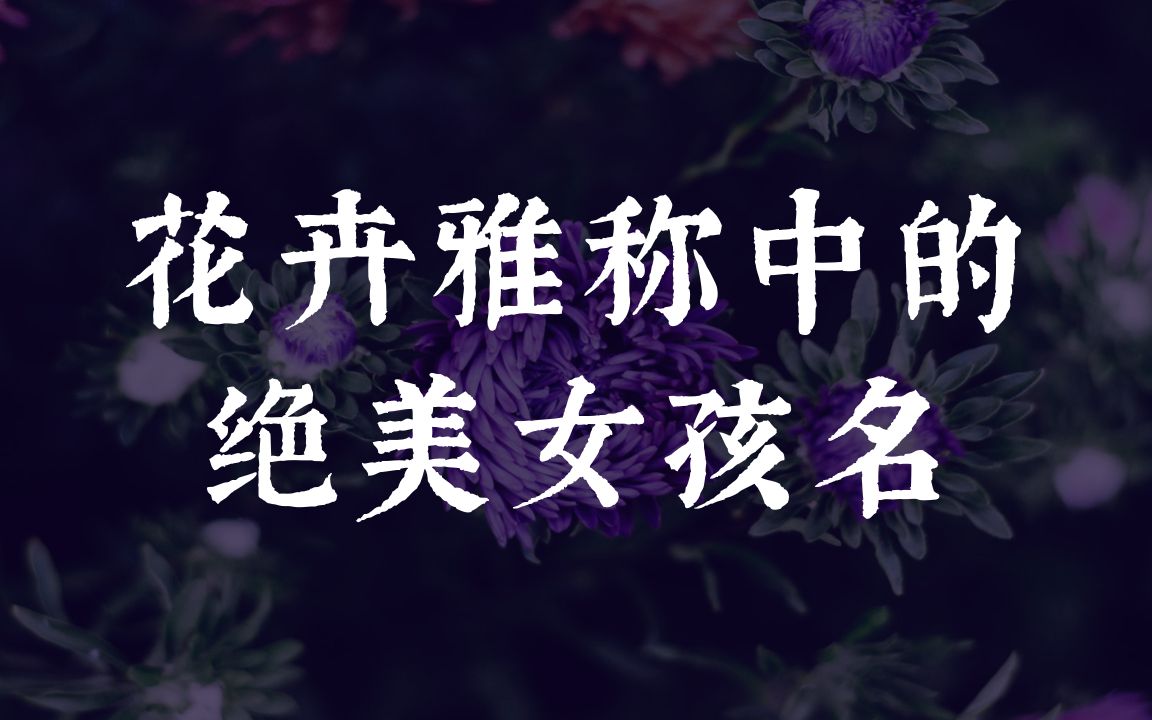 如果把花卉雅称用作女孩名字是什么体验?| 周盈、素馨、疏影哔哩哔哩bilibili