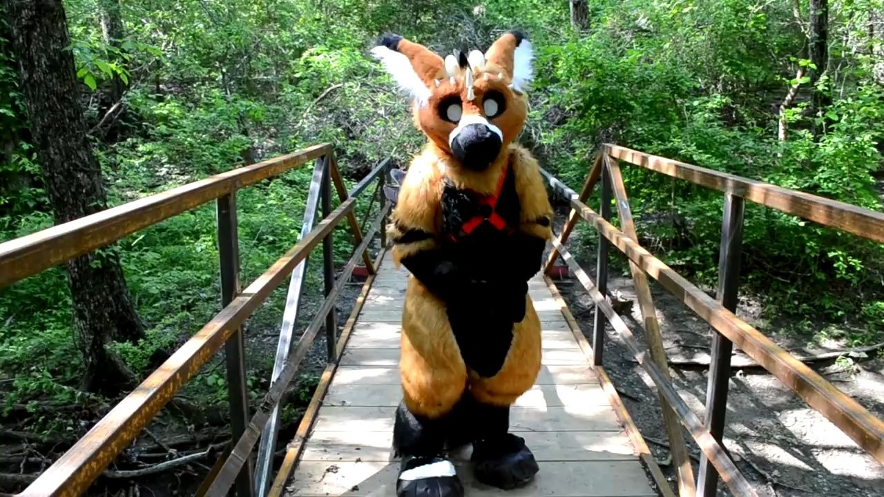 来认识telephone!一只卡哇伊的荷兰天使龙!