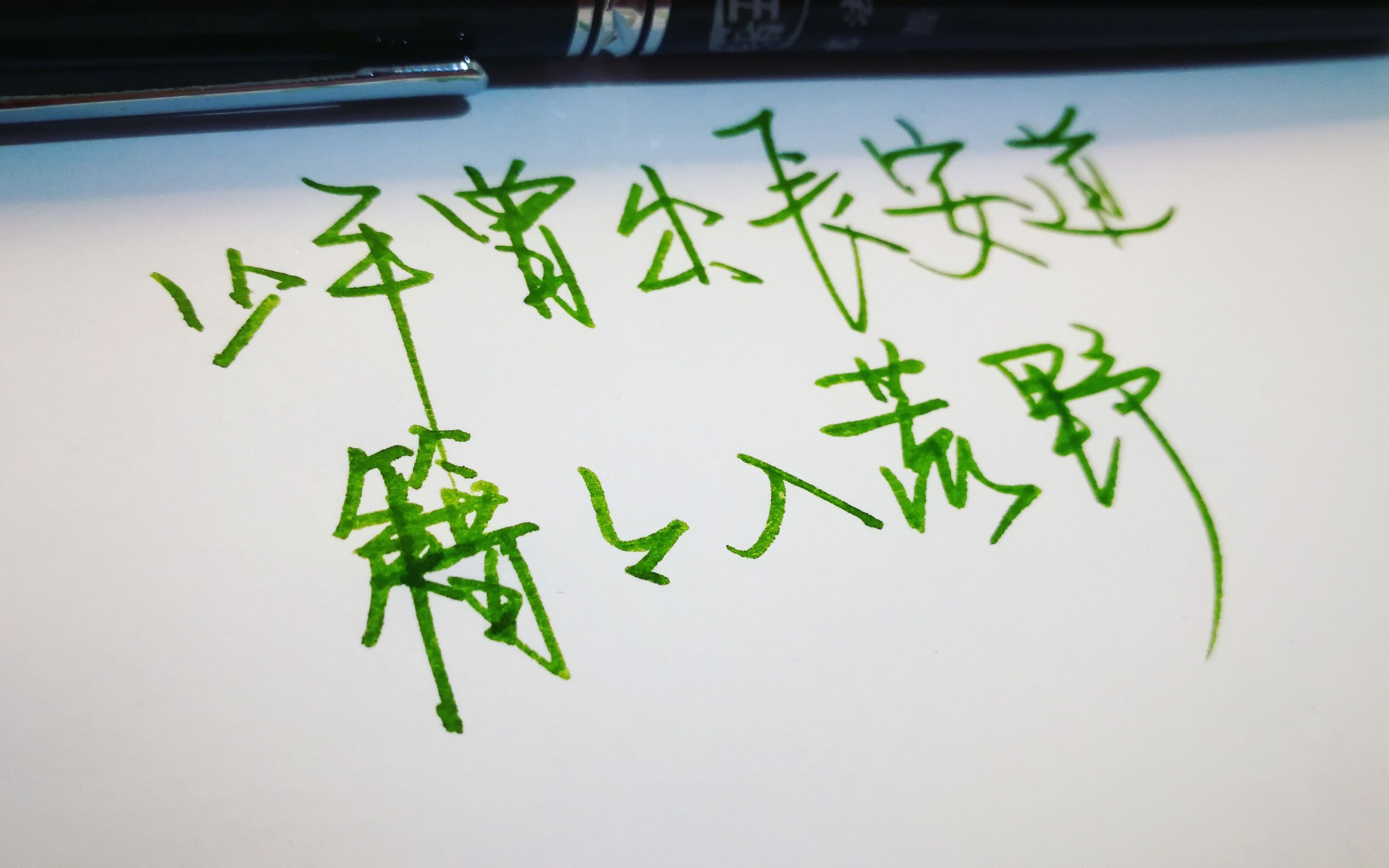 【灼华胜桃夭】白马入芦花【原pv附】