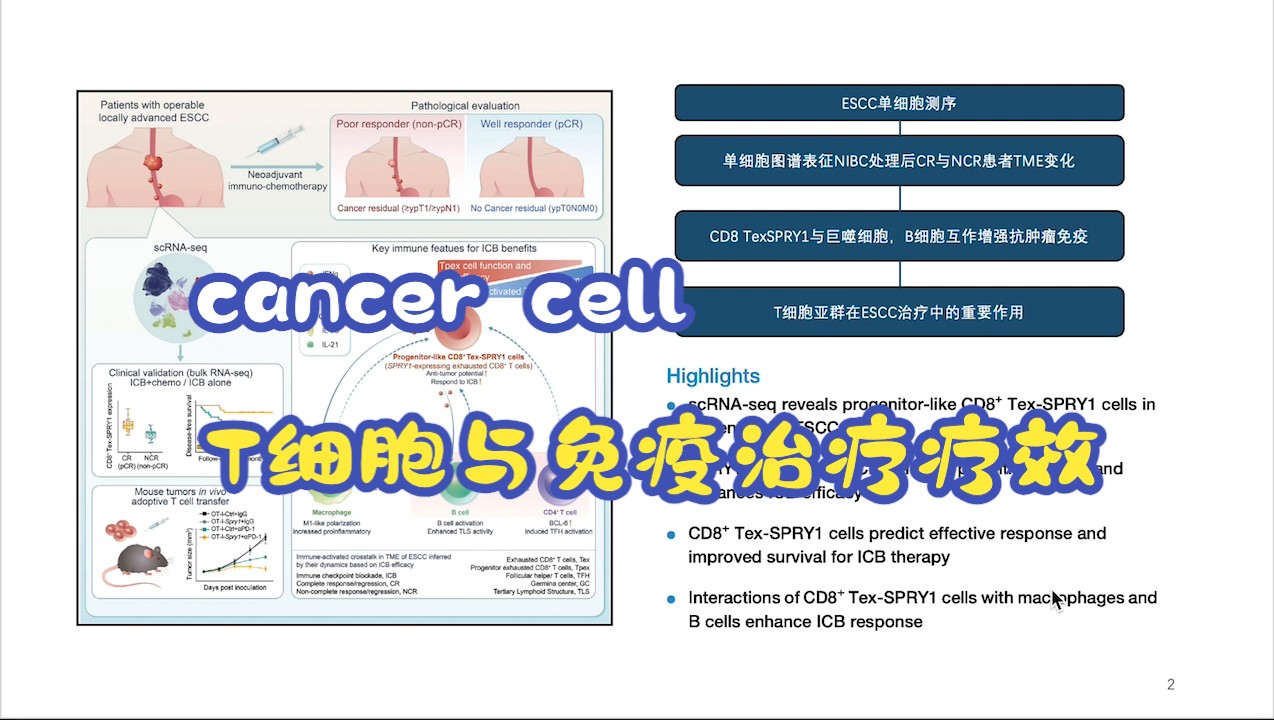 【医学生文献汇报】cancer cell:祖细胞SPRY1耗竭T细胞预测食管癌免疫治疗疗效part1哔哩哔哩bilibili