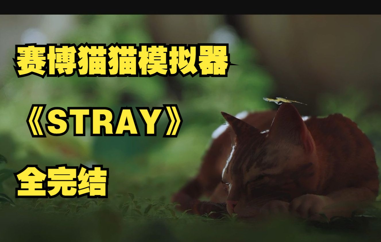 [图]【迷失Stray】超治愈系的赛博猫猫模拟器 完结