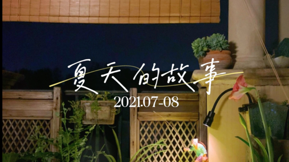 七月廿四【星期二】2024/8/27 生活平淡而有光 疫情下的暑期 夏天的故事 2021.0708哔哩哔哩bilibili