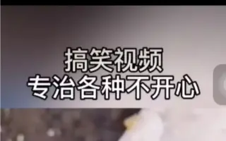 搞笑短视频专治各种不开心