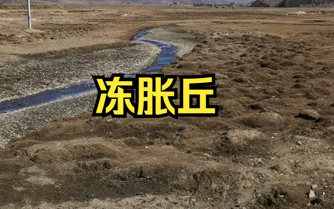 高原冻土地貌——冻胀丘哔哩哔哩bilibili