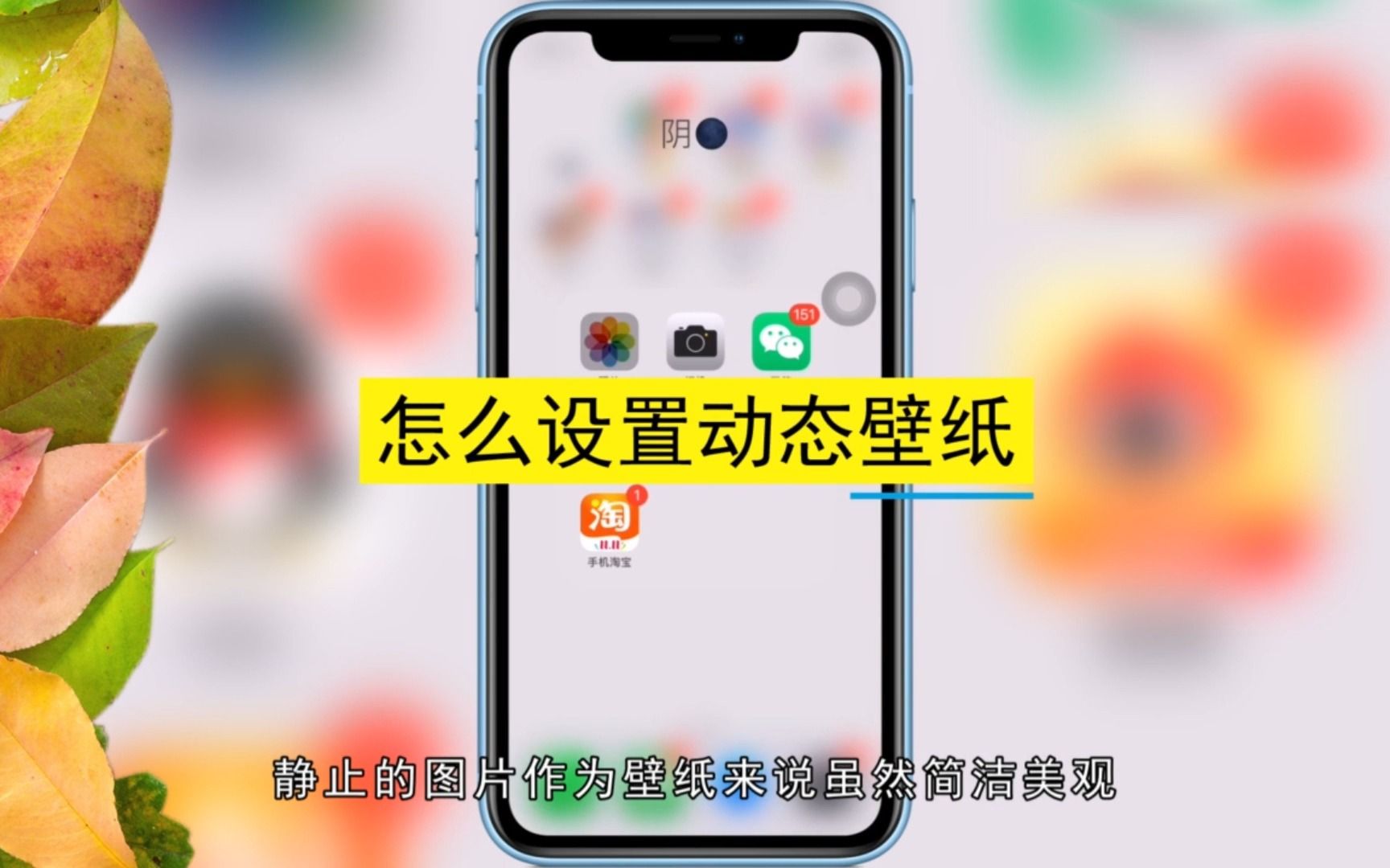 怎么设置动态壁纸,设置动态壁纸的方法哔哩哔哩bilibili