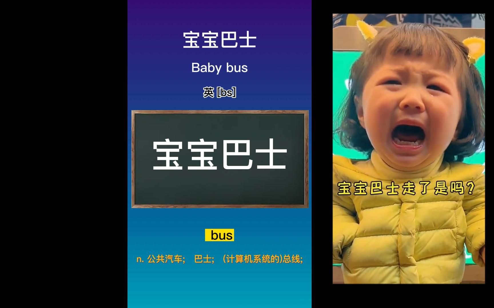 宝宝巴士:Baby bus哔哩哔哩bilibili