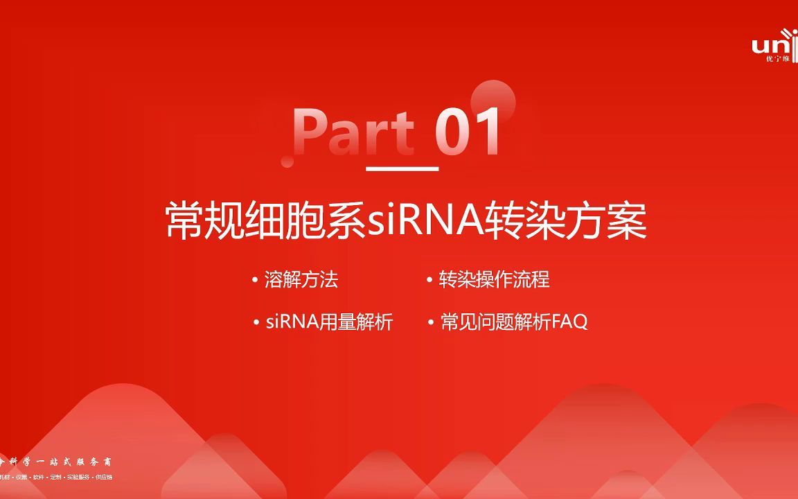 siRNA解决方案(体外细胞篇)哔哩哔哩bilibili