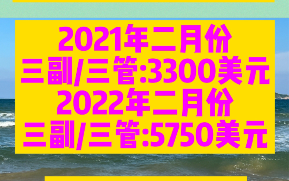 2021年2022二月份远洋散货海员各职位工资对比!哔哩哔哩bilibili