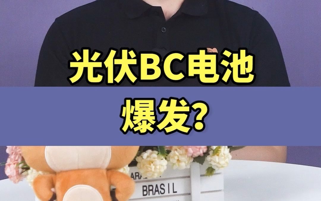 BC是一种技术,和TOPCON其实并不冲突哔哩哔哩bilibili