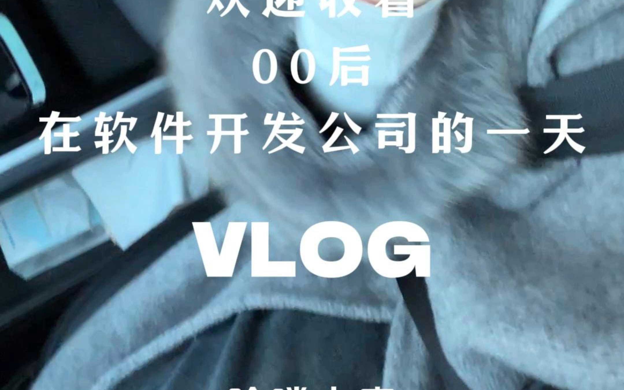 00后在软件开发公司的一天都在干什么哔哩哔哩bilibili