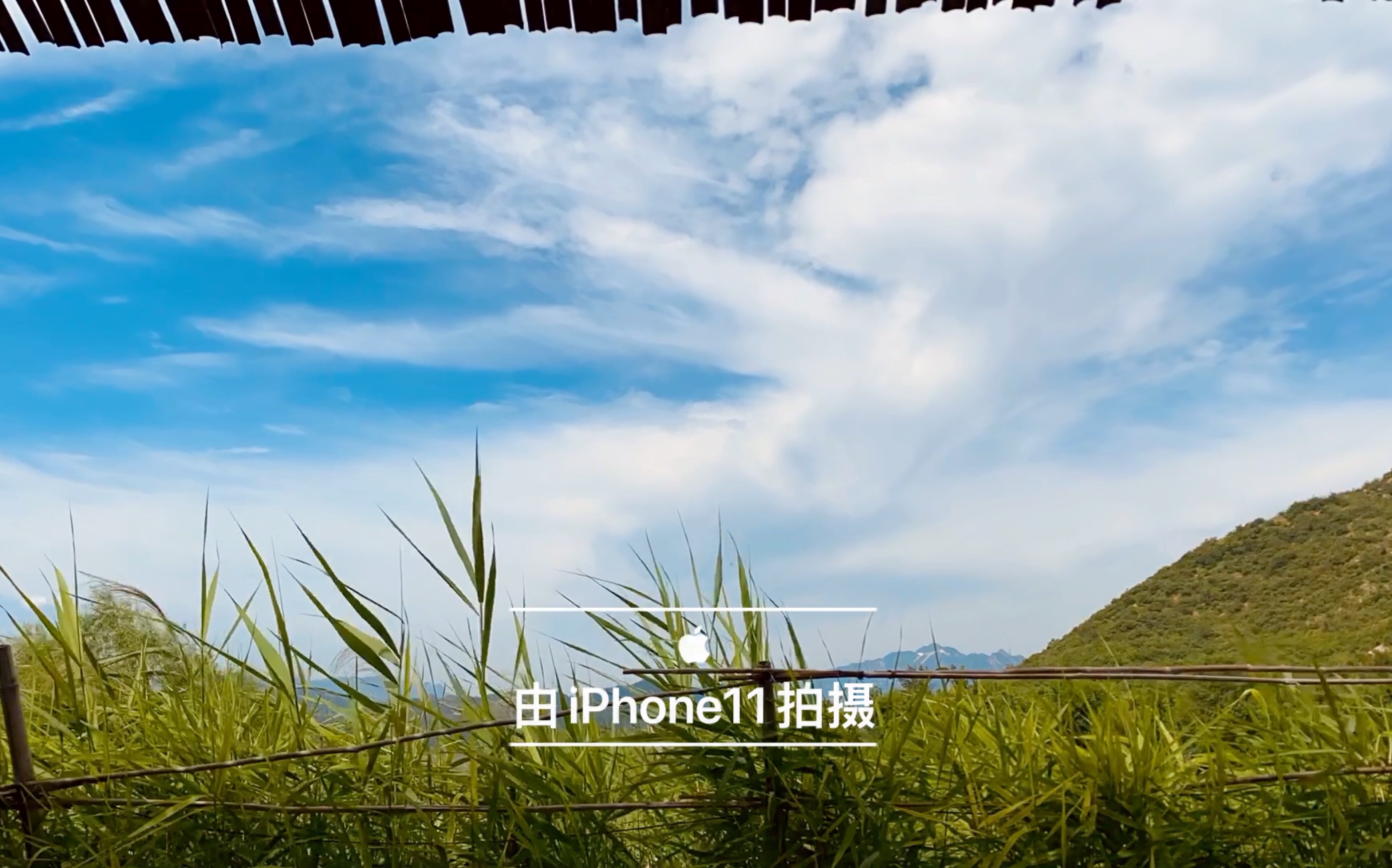iphone11延时摄影随手拍-夏日午后时光