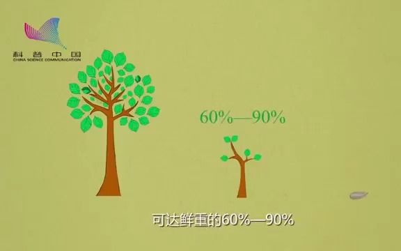 [图]植物生长为什么需要水？为什么水对植物生长这么重要？万物生长靠太阳，雨露滋润禾苗壮， 植物在生长时阳光重要，水也很重要。对地球上的生命而言，可以说没有水就没有生命