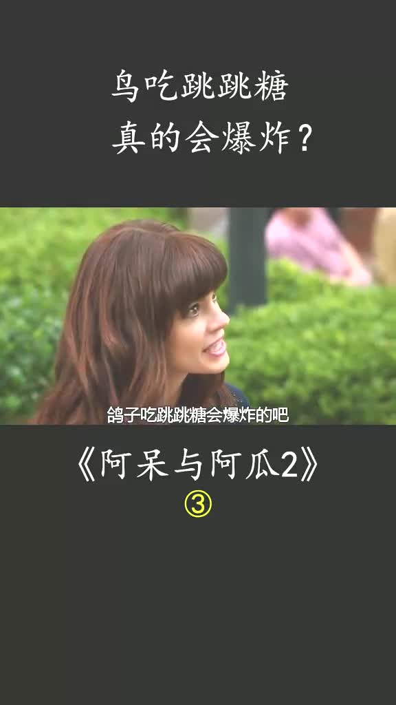 金凯瑞经典喜剧电影,鸟吃跳跳糖,真的会爆炸?#阿呆与阿瓜2 #金凯瑞 #杰夫ⷤ𘹥𐼥𐔦–影视电影解说哔哩哔哩bilibili