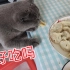 猫咪认为人吃的东西都好吃。