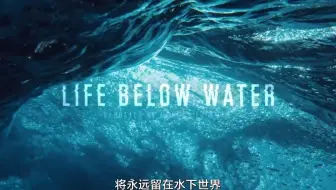 公益广告，全球海洋将被「新物种」统治