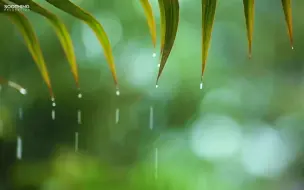 Tải video: 自然治愈‪ | 午后清澈的小雨与轻音乐~享受这宁静的一刻（适睡眠 / 发呆 / 作业）