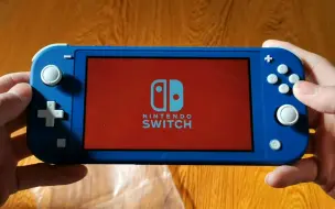 Download Video: 刚买的Switch Lite，开机竟然是红屏