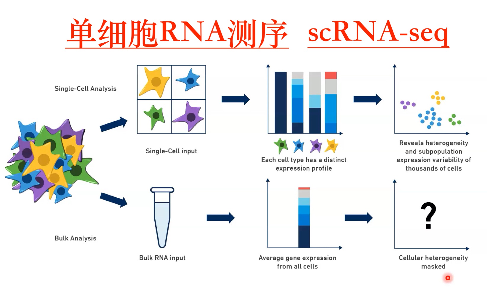 单细胞RNA测序讲解(single cell RNAseq)哔哩哔哩bilibili