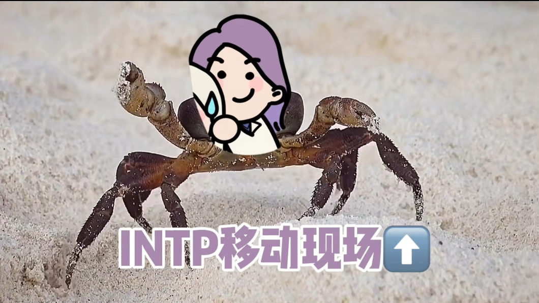 INTP,一种螃蟹型人格哔哩哔哩bilibili