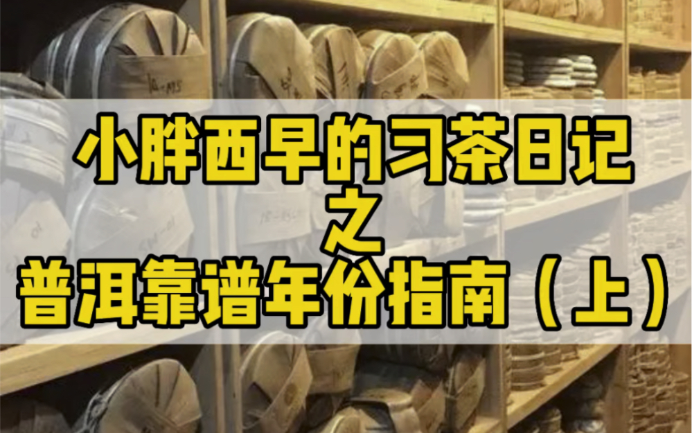 出去买茶应该选什么茶?小白外出选茶指南来了!教你一套选茶思路!#普洱茶 #普洱茶知识哔哩哔哩bilibili