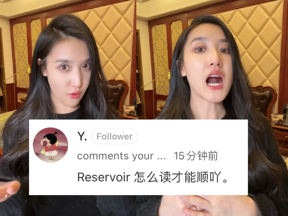 reservoir怎么读?哔哩哔哩bilibili