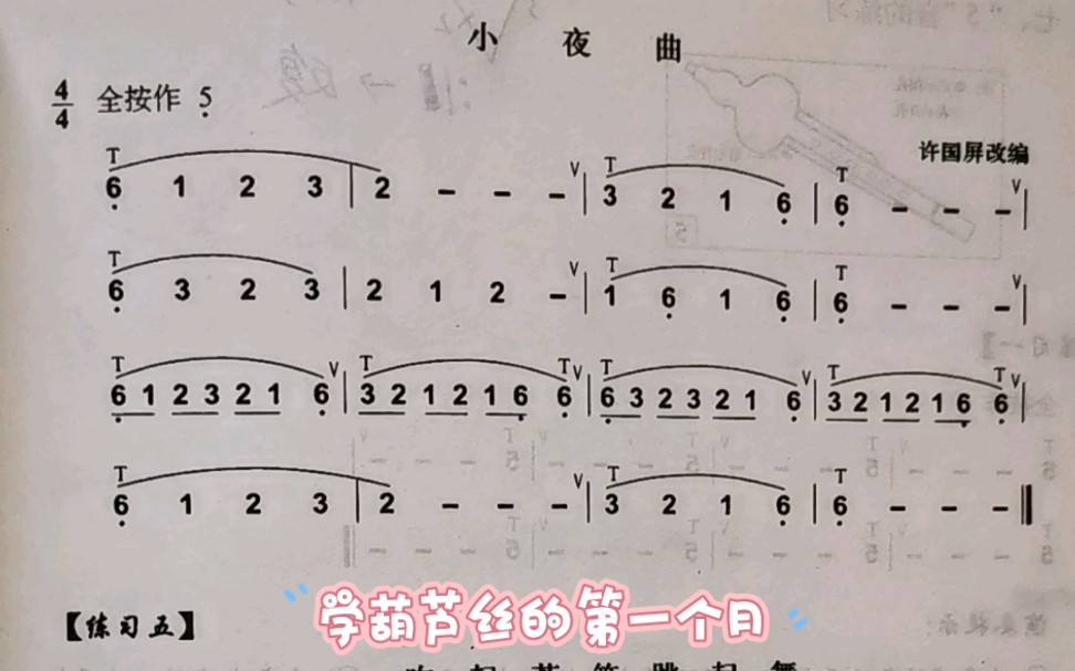 葫芦丝—小夜曲
