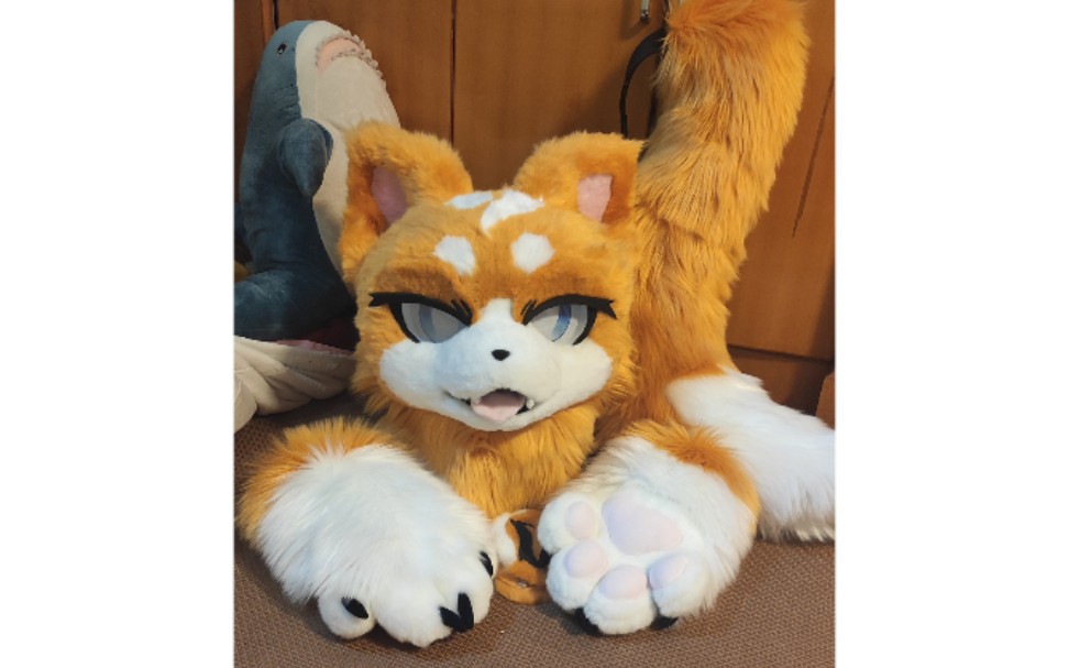 【兽装 】fursuit 委托的小狐狸_哔哩哔哩 (゜-゜)つロ 干杯~-bili