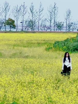 [图]每一朵油菜花都是写给春天的情书