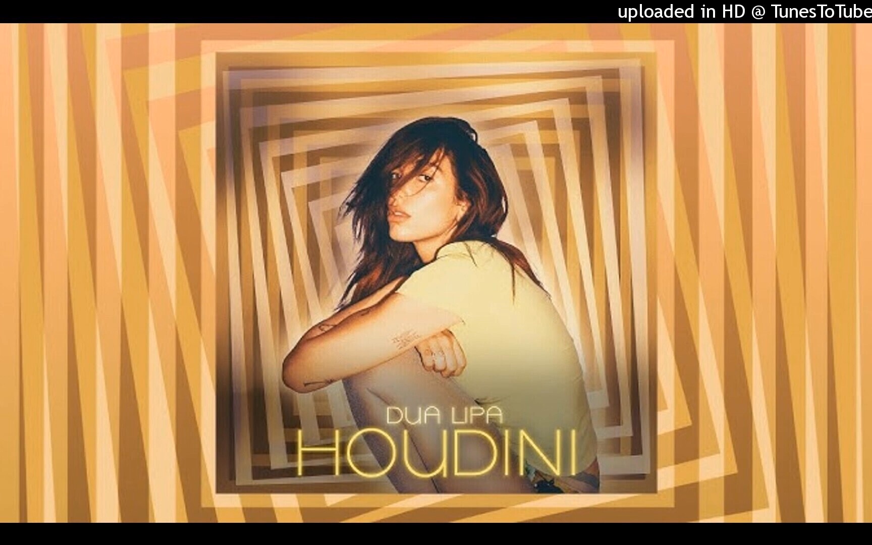 [图]Dua Lipa - Houdini (Extended Mix)