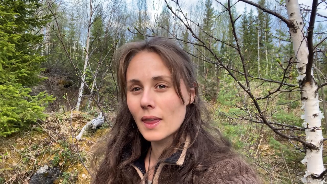 一起来感受一下瑞典小姐姐的生活日常吧|北欧草药仙女