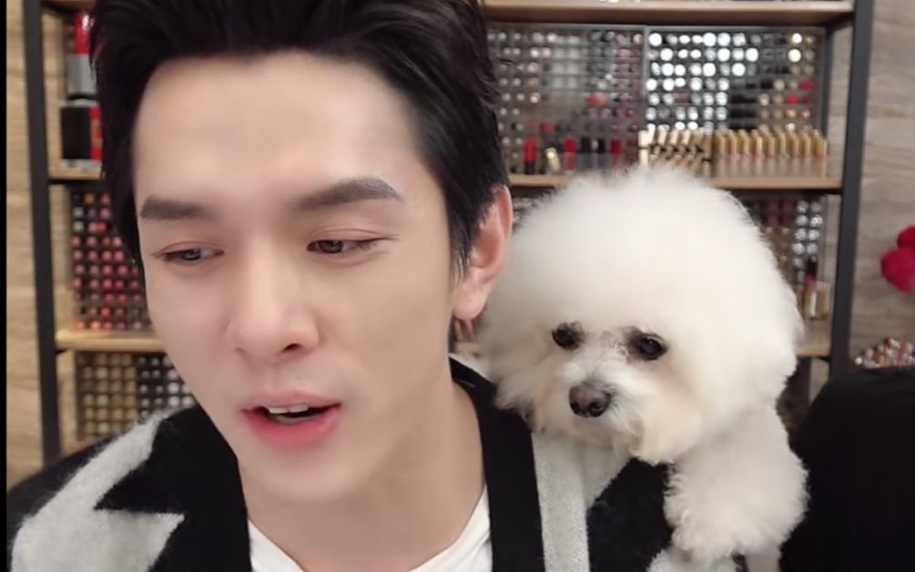 李佳琦的比熊委屈的never打架了流泪了心也累了5555