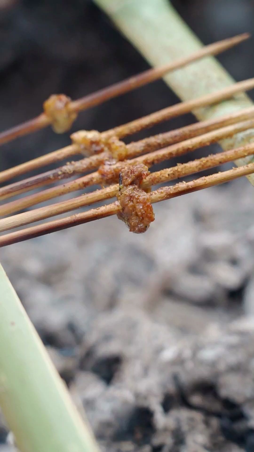 烤羊油来了来了他带着滋滋冒油的烤串儿回来了