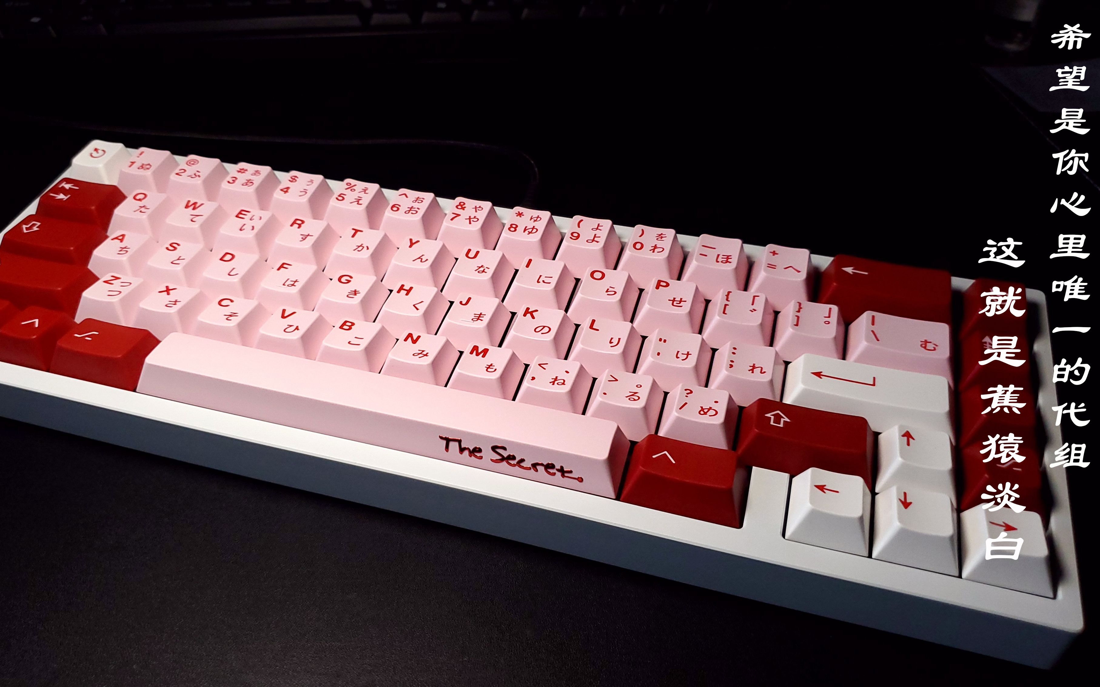 【客制化键盘】迟到的vega,全程乱讲不可当真