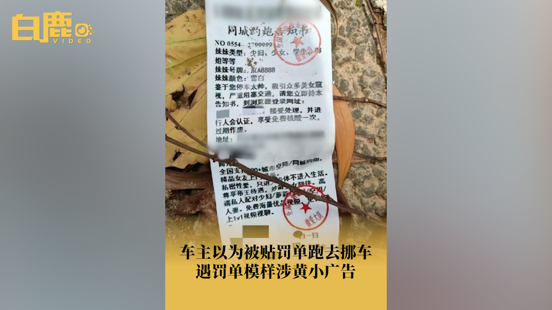 车主遇罚单模样涉黄小广告哔哩哔哩bilibili