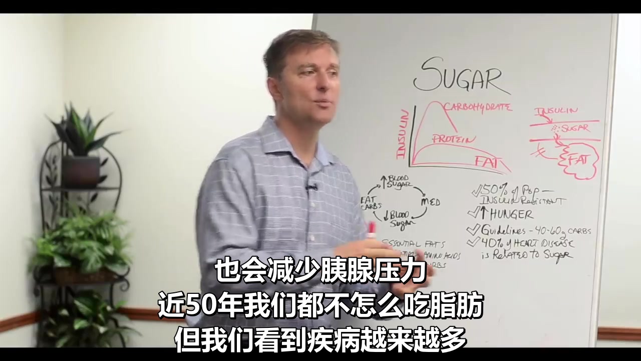 [图]国外专家：不吃碳水化合物，血糖会非常稳定！非常健康！还能减肥