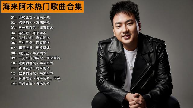 烟嗓天花板海来阿木热门歌曲合集
