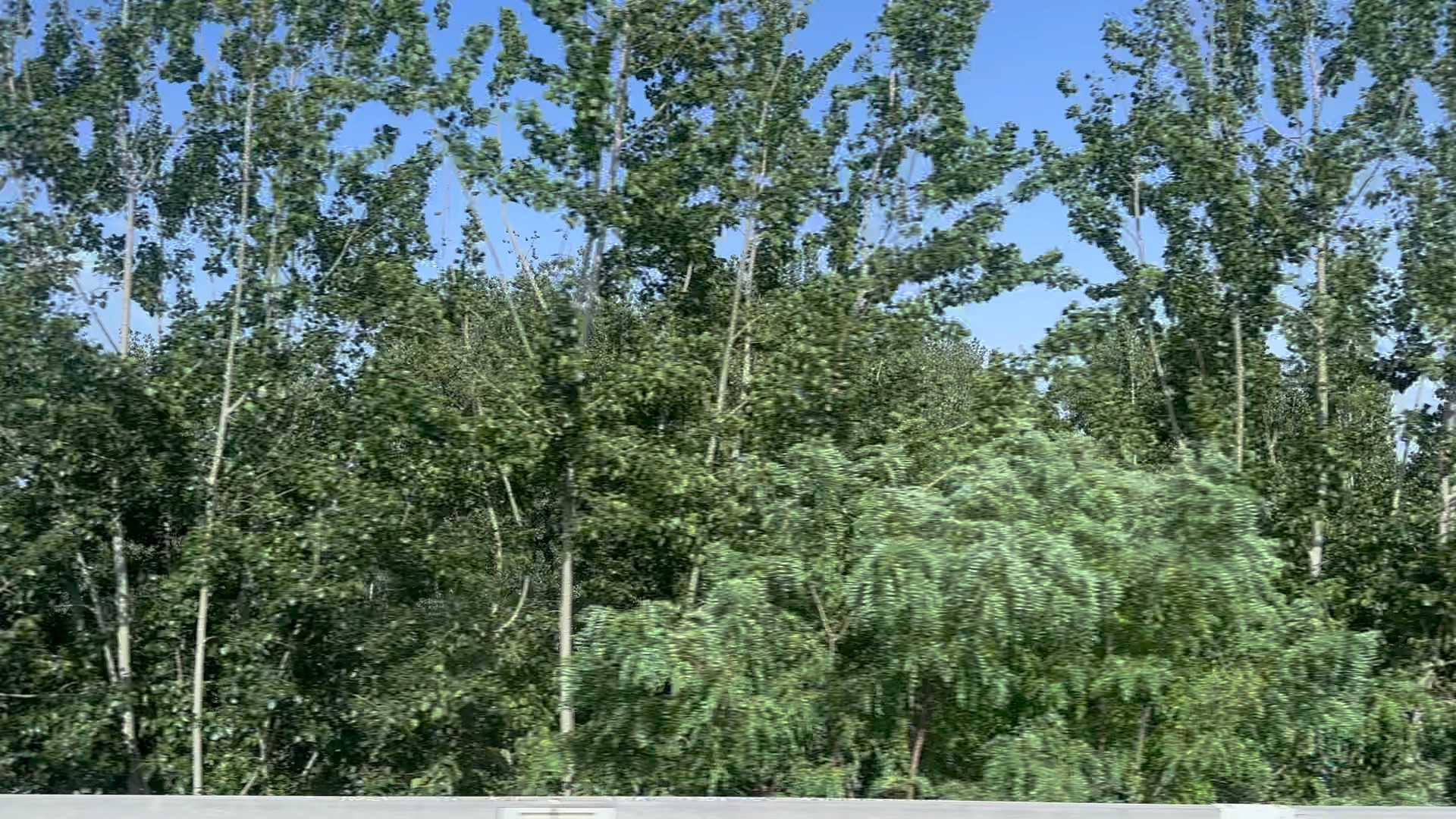 北京地铁15号线后沙峪-花梨坎侧方展望(新up主,涨点粉吧,(最好三连)求