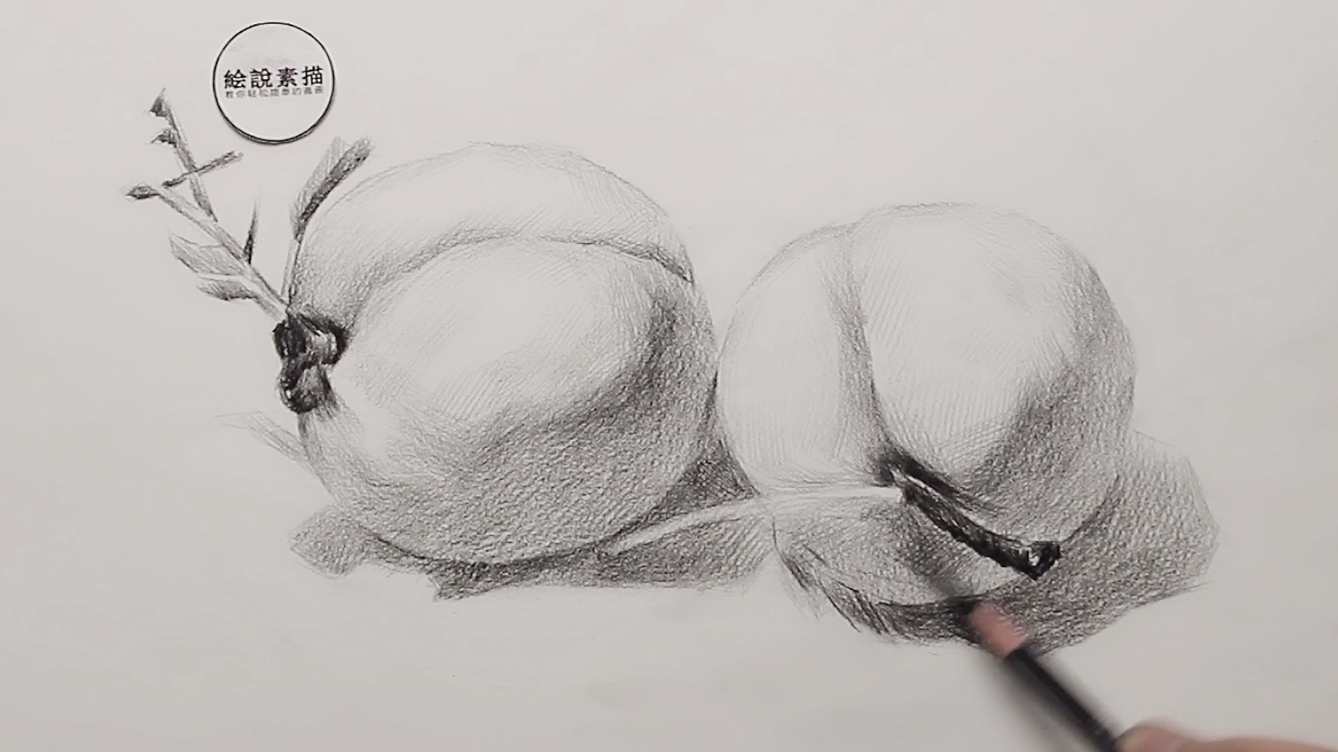 素描静物桃子画法基本形您找清楚了吗