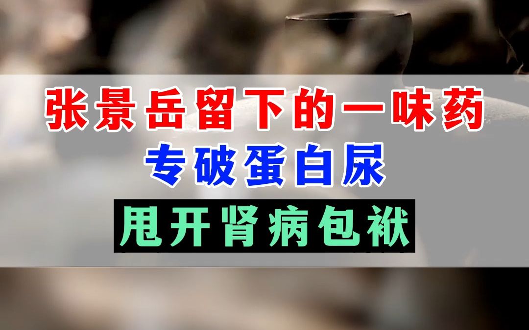 张景岳留下的一味药,专破蛋白尿,甩开肾病包袱哔哩哔哩bilibili