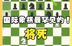 国际象棋最罕见的将死