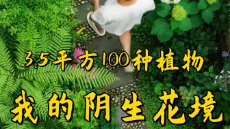 Download Video: 我的阴生花境有100种植物，带你认识一下。