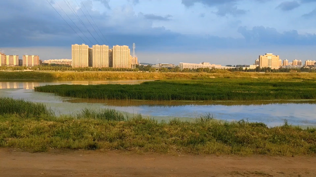 [图]《沙乡年鉴》中仅凭鸣声辨别鸟类的记述多引人遐思啊……我就做不到